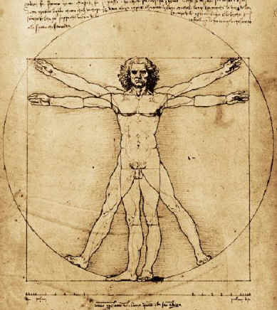 vitruvian